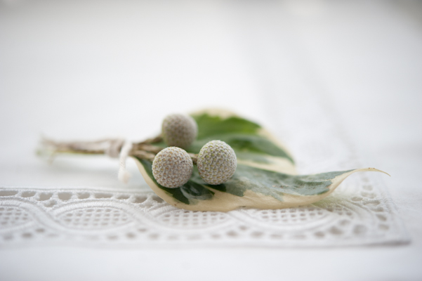 Boutonniere by AMBphoto . photography by Anne-Marie Bouchard
